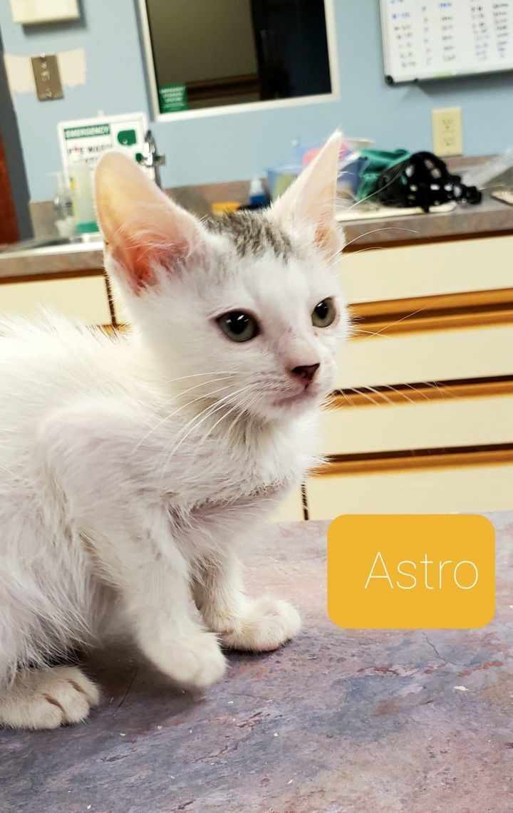Astro